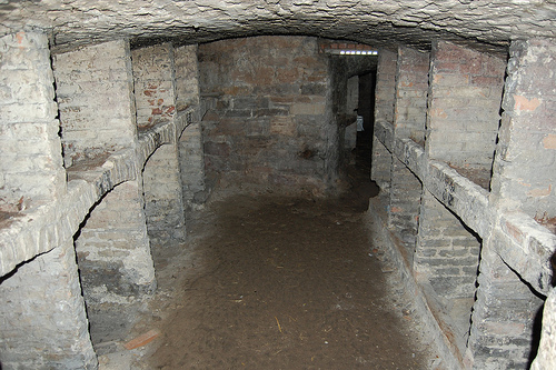 493131381_0e3b7340c9