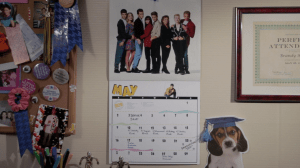 04543612532947658629