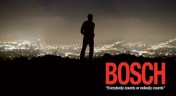bosch_01