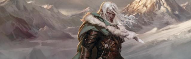 Banner_Drizzt_1