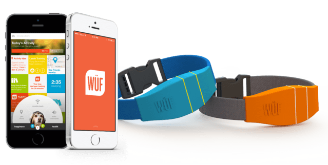 WUF Smart Collar and Mobile App (1)