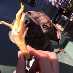 11111315_968522639848556_190671140_n